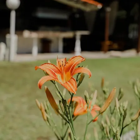 Villa Angelika Nea Iraklitsa Kavala