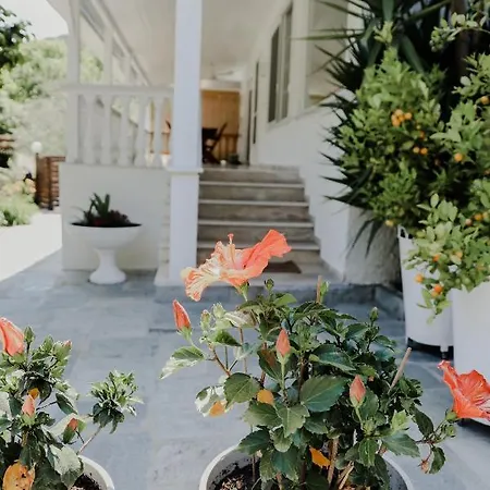 Angelika Nea Iraklitsa Villa *