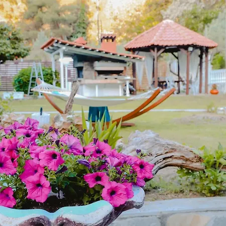 Вилла Angelika Nea Iraklitsa