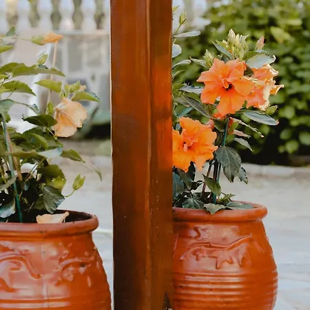 Angelika Nea Iraklitsa Vilă Kavala