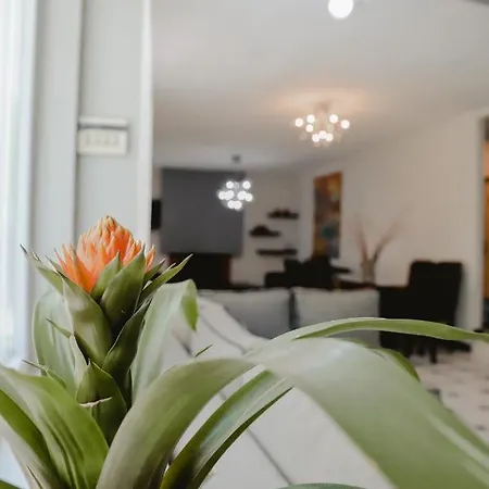 Angelika Nea Iraklitsa *