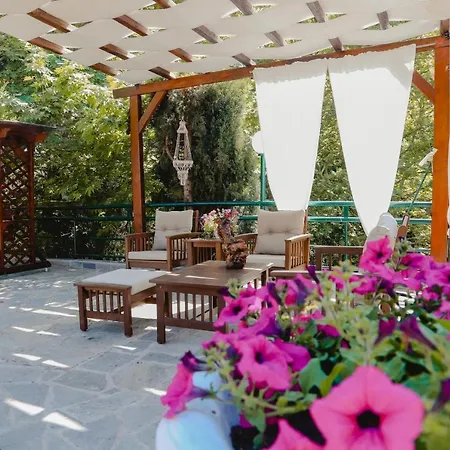 Angelika Nea Iraklitsa *