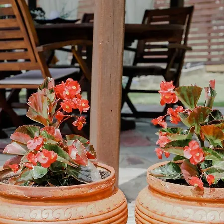 Angelika Nea Iraklitsa