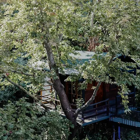 Villa Angelika Nea Iraklitsa