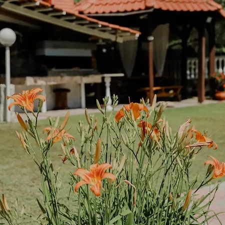 Angelika * Nea Iraklitsa