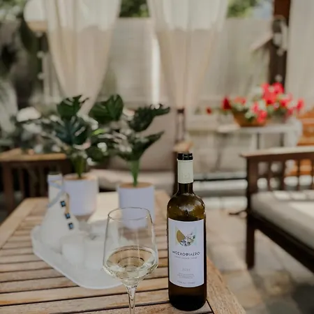 Villa Angelika Nea Iraklitsa Kavala