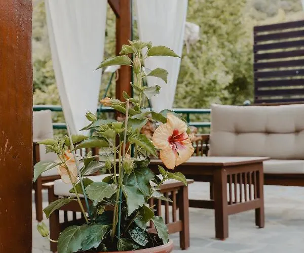 Angelika Vila Nea Iraklitsa