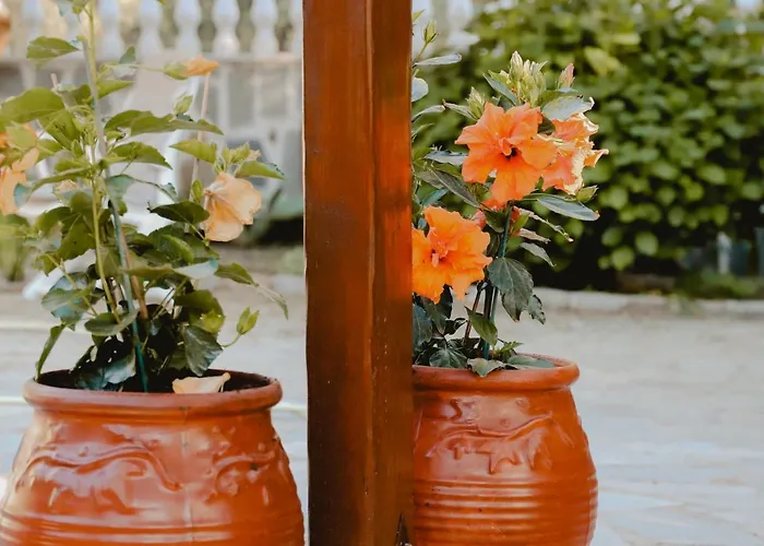 Angelika Vila Nea Iraklitsa