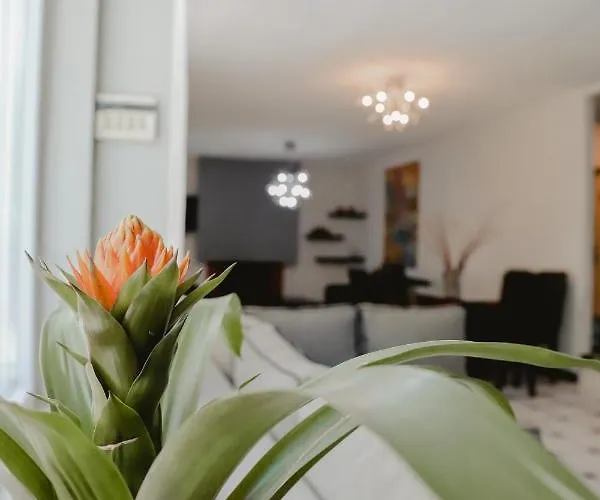 Angelika *