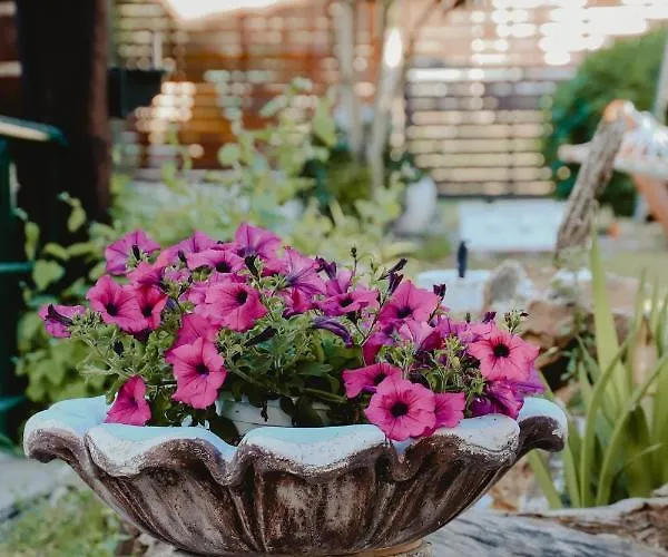 Angelika Nea Iraklitsa