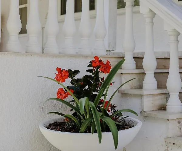 Angelika Vila Nea Iraklitsa