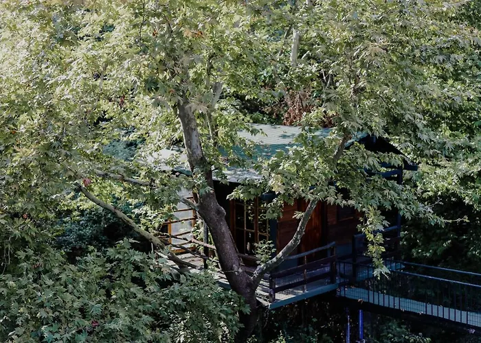 Vila Angelika