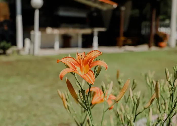 Vila Angelika Nea Iraklitsa