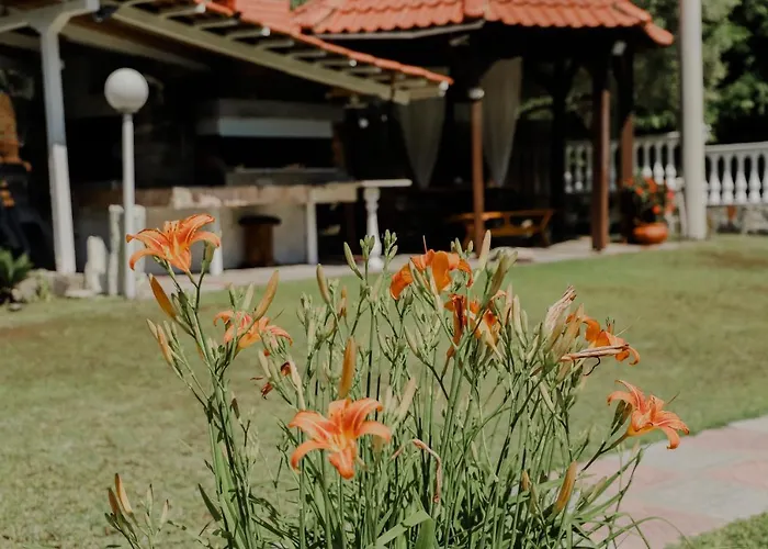 Angelika * Nea Iraklitsa